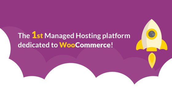 thecore.io the first WooCommerce Management Platform